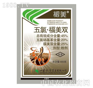 �G�S-����-���ȸ����p