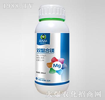 �p�����V-�����