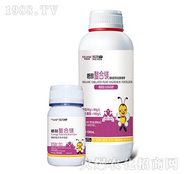 �Ǵ������V-�W���r�I(y��)