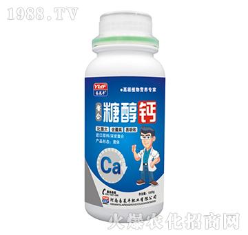 �����Ǵ��}-���R�S