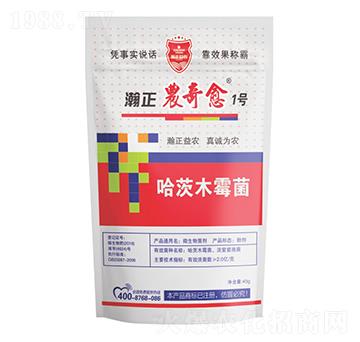 ����ľù��-����r(n��ng)����1̖-������r(n��ng)