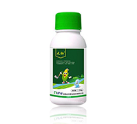 ���׳��݄�-�o(w��)�z