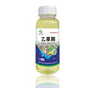 �Ҳݰ�-��ؐ��