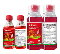 41%�ݸ�좮������}