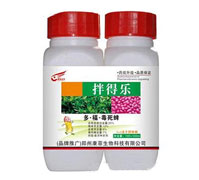 25%�ࡤ����������