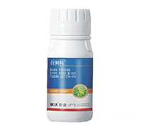 �������x����