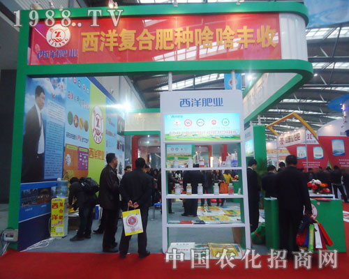 ����ͺϷ� �Nɶɶ�S��