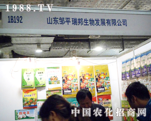 �uƽ����٬F(xi��n)��I(y��)