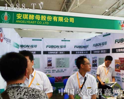 ������ĸϲӍ����