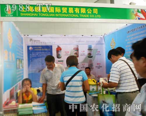 �Ϻ��y(t��ng)(li��n)���ķ���(w��)��12���½��r(n��ng)�����ϵ�ÿλ�