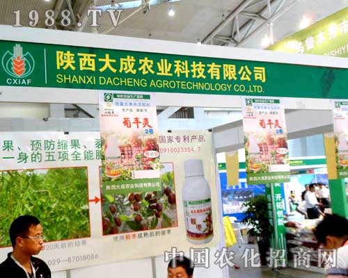 �������r(n��ng)�I(y��)��չ����ľ�R�r(n��ng)���������̲���