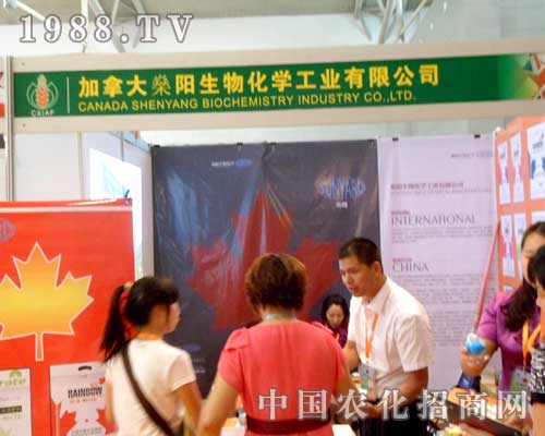 ���ô��������c������½�ֲ����