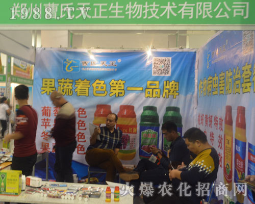 ���ݲ�������������2016��ɽ�|ֲ�������ل�(chu��ng)�ѿ�