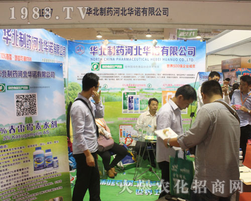 �ӱ��A�Z�ڵ�2016ɽ�|ֲ����(hu��)������