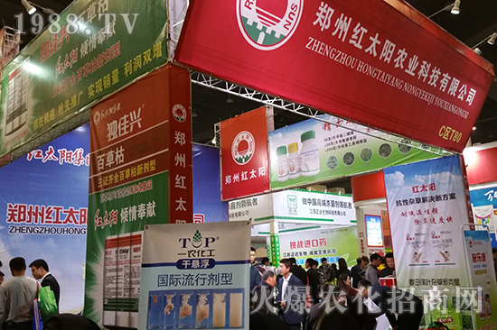 ɽ�|��������̩����2016�����rˎ������