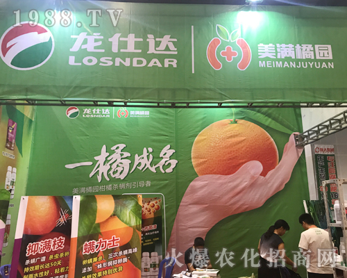 �����_(d��)����