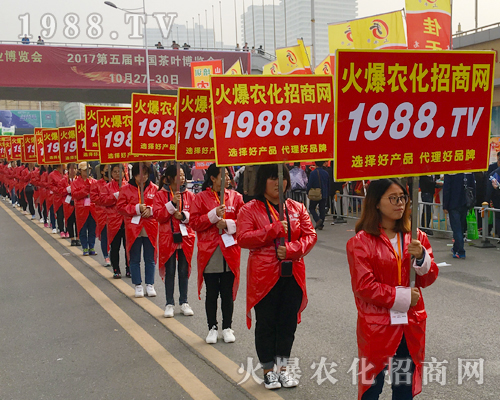 2017��ɽ�|ֲ����(hu��)���r(n��ng)������Ч����(qi��ng)��