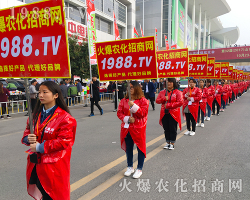 ��������(zh��n)����̤�������r(n��ng)���W(w��ng)����(zh��n)��23��ɽ�|ֲ����