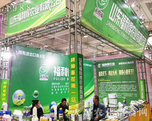 ɽ�|������