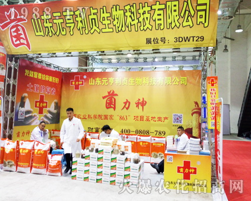 2017��ɽ�|ֲ������ɽ�|Ԫ����ؑ���̻�