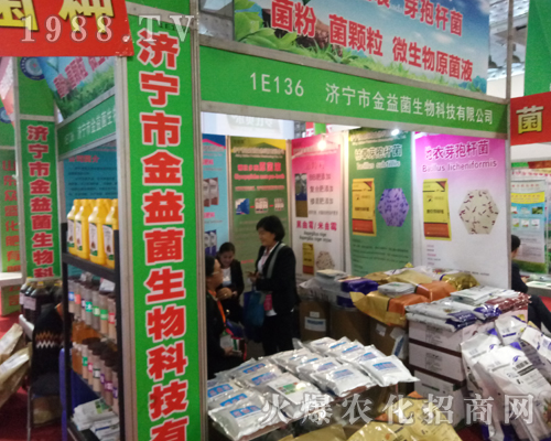 �����н��������