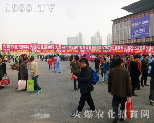     ���r(n��ng)���W(w��ng)��Ӣȫ���Ը����ل�(chu��ng)��չ�óɿ���