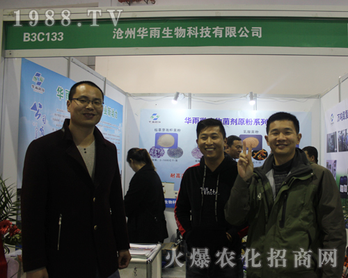 �����A������