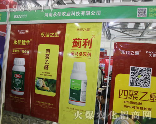 ������������2017�Ї�ֲ���p����