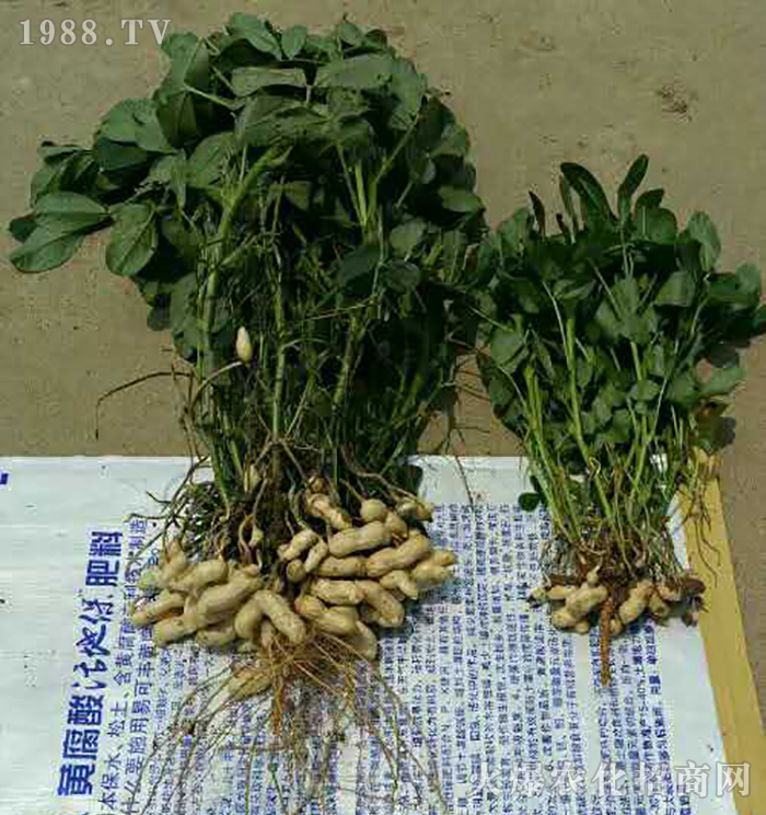 �������r(n��ng)��ʘI(y��)���޹�˾