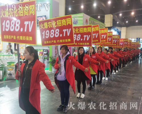 2017����Ϸ����p������1988.TV�����»���