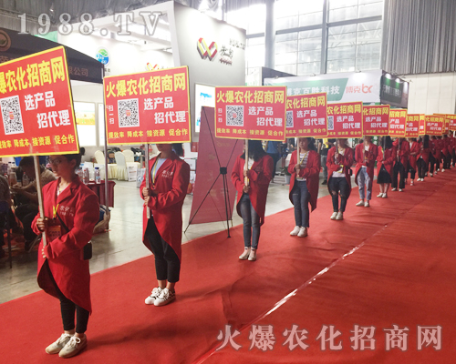 �o̎�����r(n��ng)���W(w��ng)���M�۱M�ǻ𱬼t��