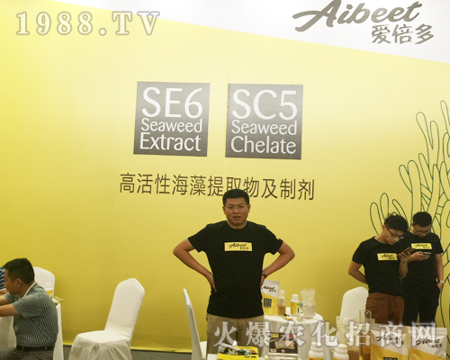 �����r�Yչ���ϐ۱���ȫ���Ը�