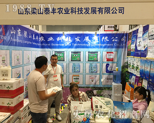 ɽ�|��ɽ̩�S�ڵ�ʮ�����ό��r(n��ng)����(hu��)��Ź�â