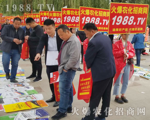     2018ɽ�|��(j��)��ֲ�����ו�(hu��)�����r(n��ng)���W(w��ng)����ֱǰ��