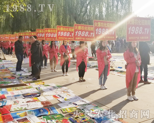 2018ɽ�|ֲ�����ו���1988.TV����***��