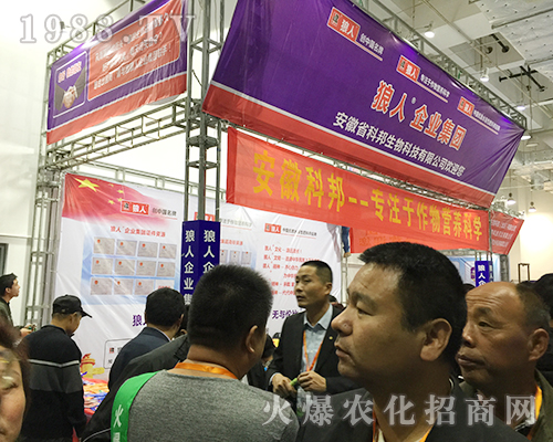 2018ɽ�|ֲ�����ו�(hu��)