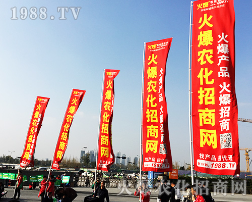 ����ʮ�Č�ȫ��ֲ���������r(n��ng)�����̾W(w��ng)�L��ȫ����