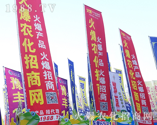     �ڶ�ʮһ�������r(n��ng)ˎ���������r(n��ng)���W(w��ng)ȫ���������̹���