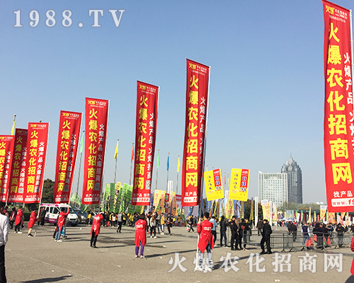     ��21�ú��������r(n��ng)ˎ��(hu��)�ϻ��r(n��ng)���W(w��ng)��Ӣ�ɳ�������(zh��n)��(j��)��