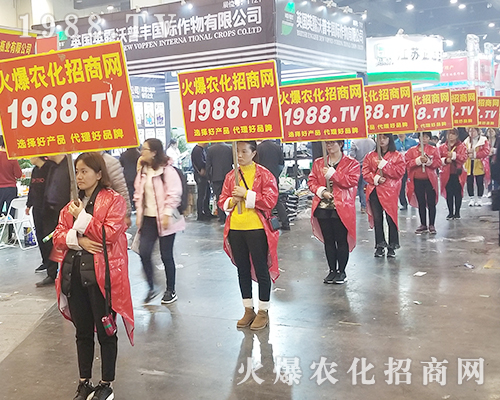     2018�����r(n��ng)ˎ��(hu��)�����r(n��ng)���W(w��ng)׌�fǧ�S�̳ɹ��_��(chu��ng)δ��