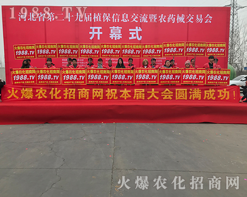 2018�ӱ�ֲ�����ϻ��r(n��ng)���W(w��ng)��Ӣ�ɳ�������(zh��n)����