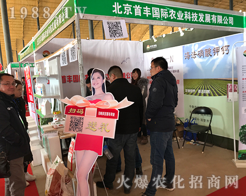 �������S��2018�ӱ�ʯ���fֲ����(hu��)���ʲ���