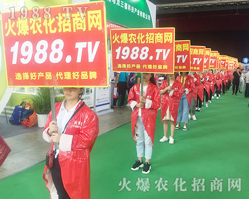 ��ʮ��������r(n��ng)�Y���[���ϻ��r(n��ng)�����̾W(w��ng)��(zh��n)ʿԏ�ƴ������