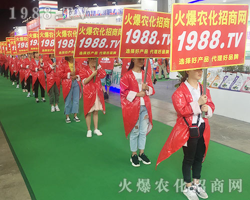 2018�����r(n��ng)�Y��(hu��)��1988.TV������������(sh��)���ɓ�