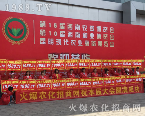 �o̎�����r(n��ng)���W(w��ng)���M�۱M�ǻ𱬼t��