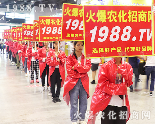     2019�Ϸ��r(n��ng)�Y���[���ϻ��r(n��ng)���W(w��ng)��Ӣ�ɳ�������(zh��n)����