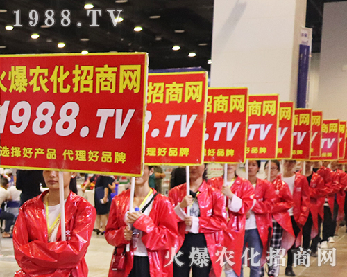     2019��ʮ�ߌ��Ϸ��r�������r���W(w��ng)韲���ǰ�����˿s