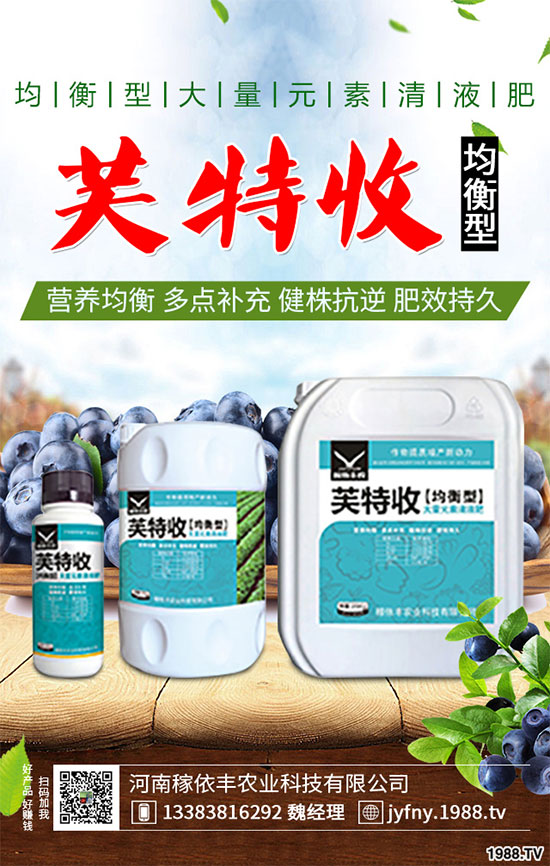 陽臺上能種植上海青嗎?該注意什么?陽臺上種植上海青的注意事項(xiàng)