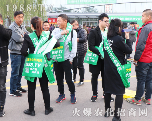 Ҫ����������1988.TV�ذ�����2019��26�Ý���ֲ���p������