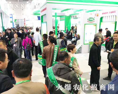 1988.TV���r(n��ng)�����̾W(w��ng)2019ɽ�|��(j��)��ֲ������(d��)���L(f��ng)����